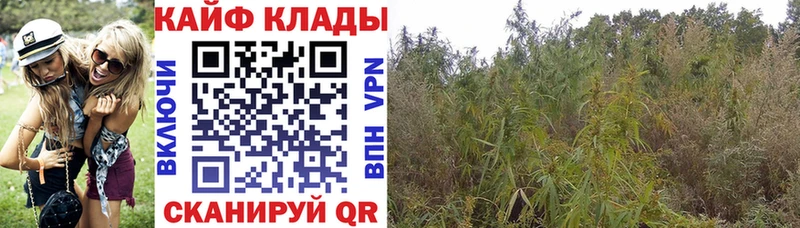 Наркошоп Тавда mega рабочий сайт  ГАШ  АМФ  КОКАИН  Бошки Шишки  A-PVP 
