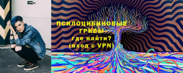 метадон Арсеньев