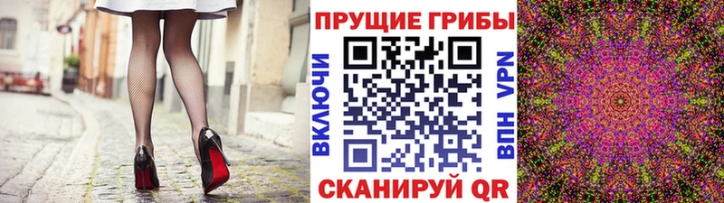 ссылка на мегу зеркало  Тавда  Псилоцибиновые грибы Psilocybe 