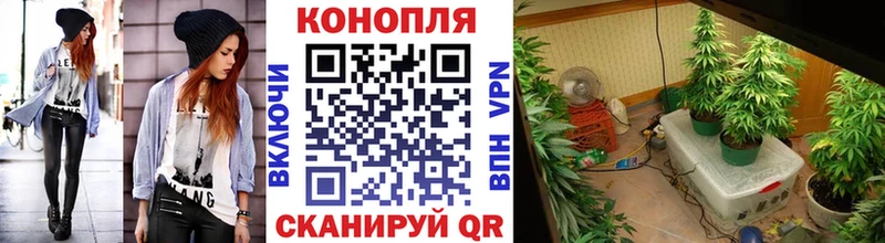 нарко площадка состав  Тавда  Шишки марихуана AK-47 